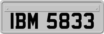 IBM5833