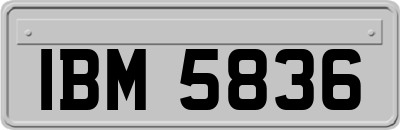 IBM5836