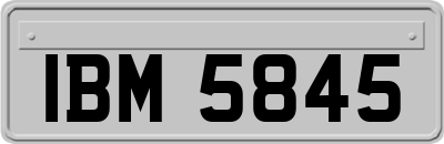 IBM5845