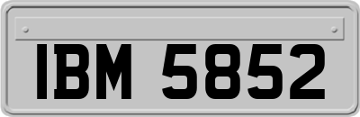 IBM5852