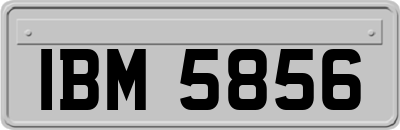 IBM5856