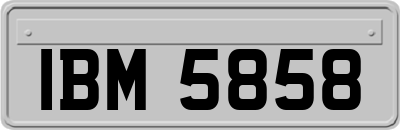 IBM5858