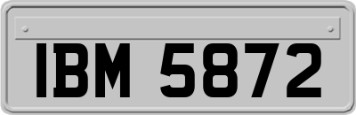 IBM5872