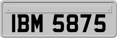 IBM5875