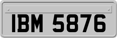 IBM5876