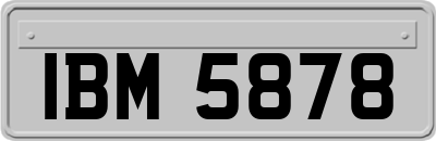 IBM5878