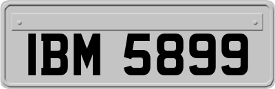 IBM5899