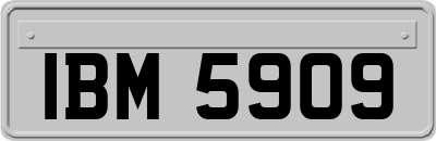 IBM5909