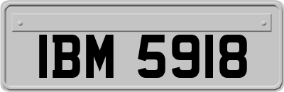 IBM5918