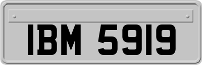 IBM5919