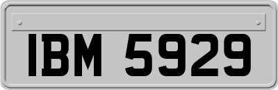 IBM5929