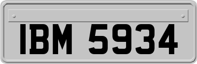 IBM5934