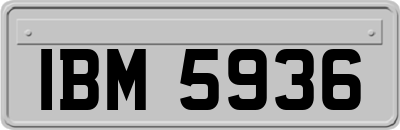 IBM5936