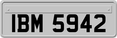 IBM5942