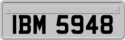 IBM5948