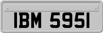 IBM5951