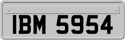 IBM5954