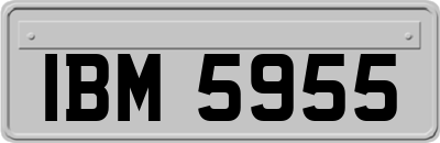 IBM5955