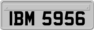 IBM5956