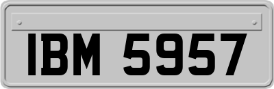 IBM5957