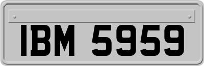 IBM5959