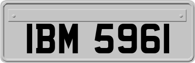 IBM5961