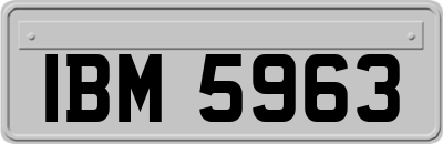 IBM5963