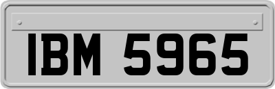 IBM5965