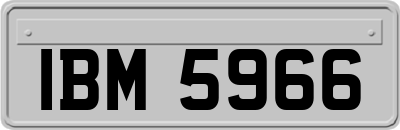 IBM5966