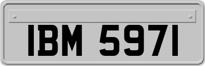 IBM5971