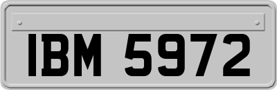 IBM5972