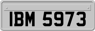 IBM5973