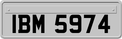 IBM5974