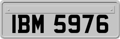 IBM5976