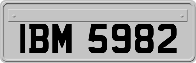 IBM5982