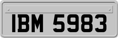 IBM5983