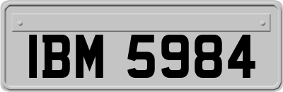 IBM5984