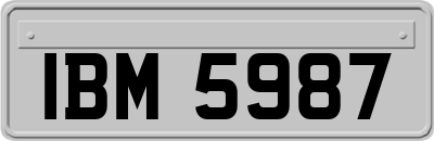 IBM5987