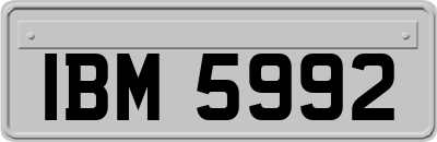 IBM5992