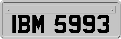 IBM5993