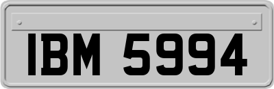 IBM5994