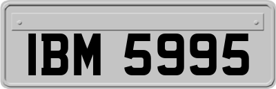 IBM5995