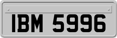 IBM5996