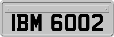 IBM6002