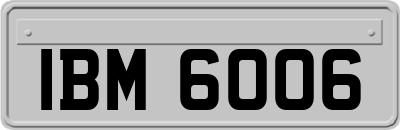 IBM6006