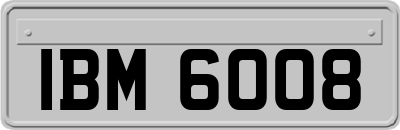 IBM6008