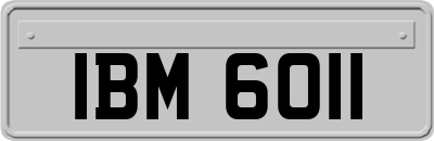 IBM6011