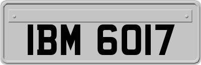 IBM6017