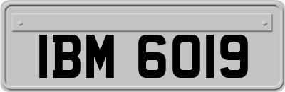 IBM6019