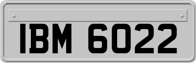 IBM6022